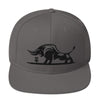 Gorra - Mad Disc Golf - Toro -  Snapback